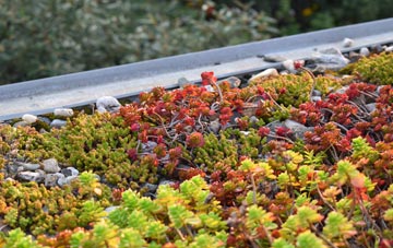 the cost of New Botley green roof installation