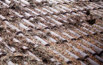 New Botley roof cleaning companies