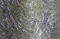 New Botley fibreglass roof work