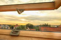 rated New Botley roof window companies